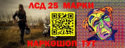 индика Рыбинск