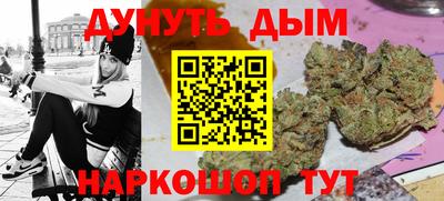 индика Рыбинск