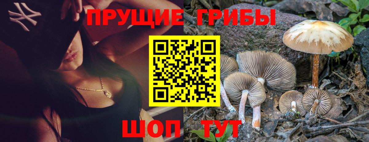 где продают наркотики  Псилоцибиновые грибы прущие грибы  Вход с VPN  Серов 