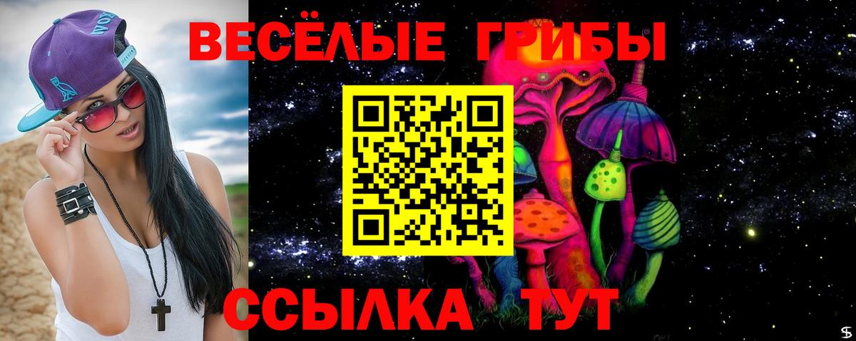 Псилоцибиновые грибы GOLDEN TEACHER Серов